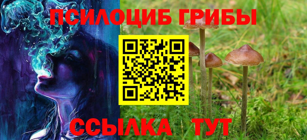 Псилоцибиновые грибы ЛСД Киселёвск